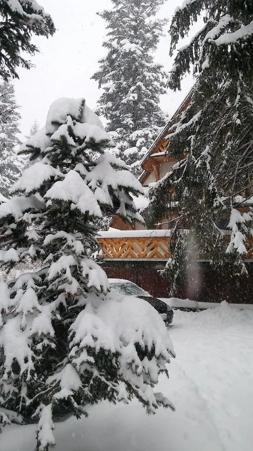 Willa Mitia Zakopane 0*,