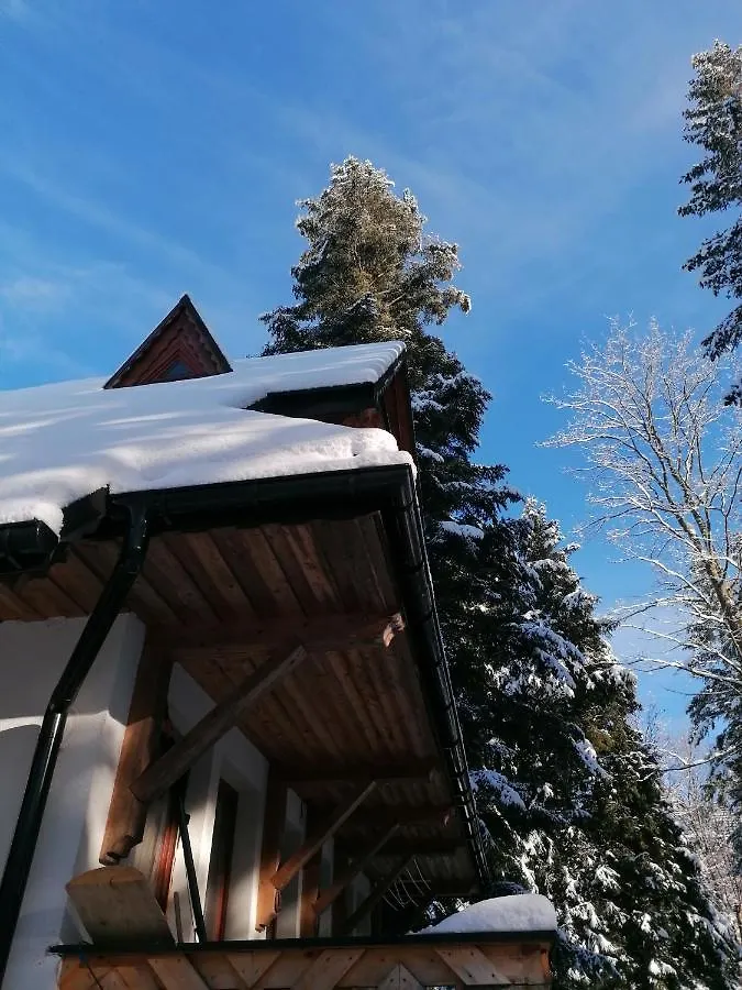 Villa Willa Mitia Zakopane Polonia