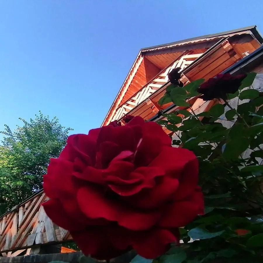 Villa Willa Mitia Zakopane