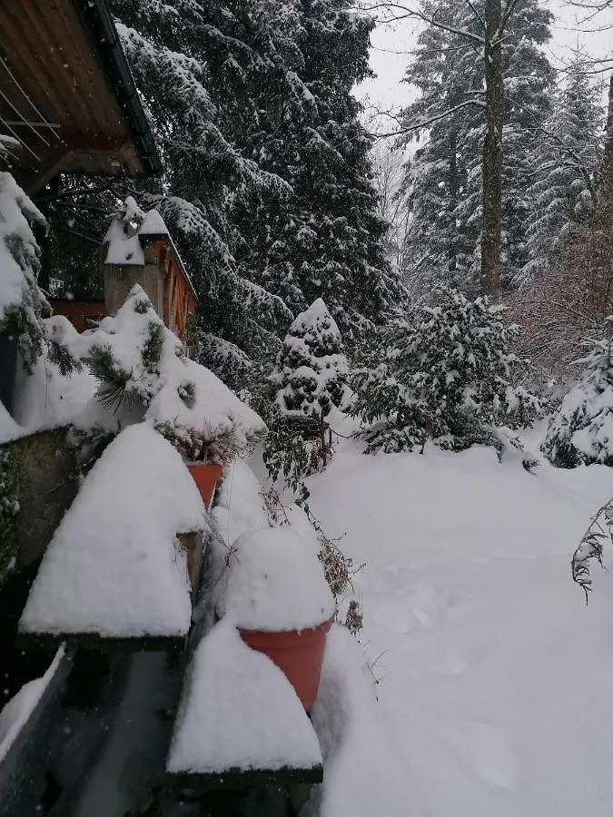 Willa Mitia Zakopane Villa