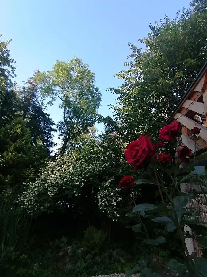 Villa Willa Mitia Zakopane