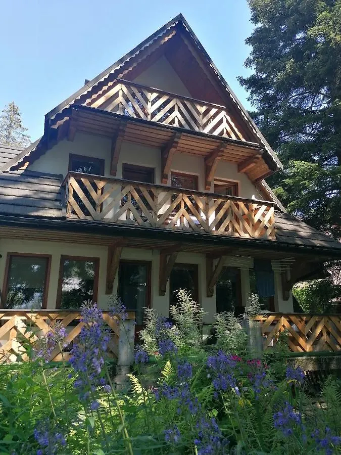 Willa Mitia Zakopane 0*,